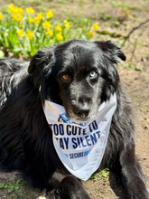 Load image into Gallery viewer, SecureDrop Bandana
